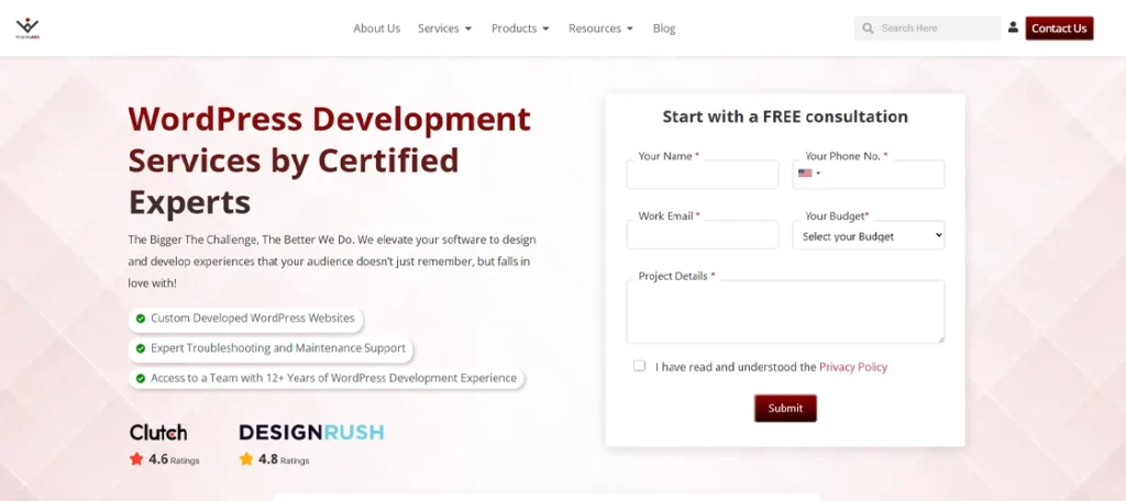 wisdmlabs - top wordpress development companies